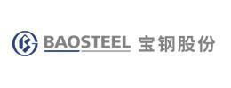 BAOSTEEL ZHANGJIANG IRON & STEEL CORP.China