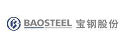 BAOSTEEL ZHANGJIANG IRON & STEEL CORP.China